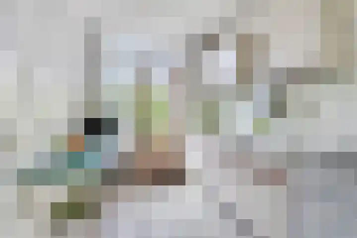 Zwaardvegersstede 45 Cuijk thumbnail 15