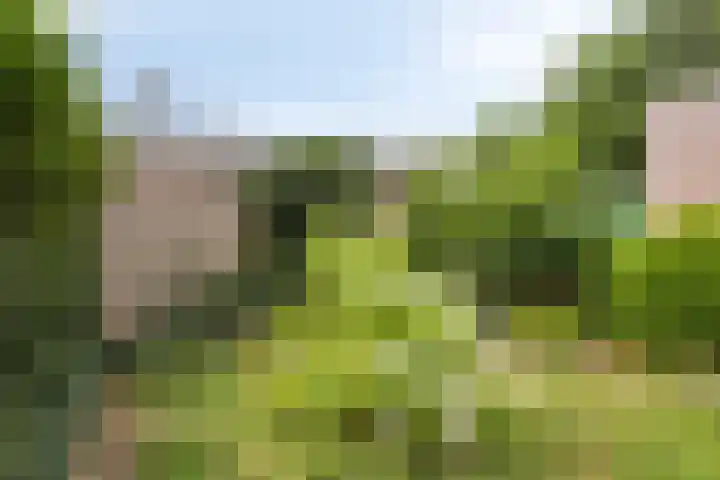 Zwaardvegersstede 45 Cuijk thumbnail 30