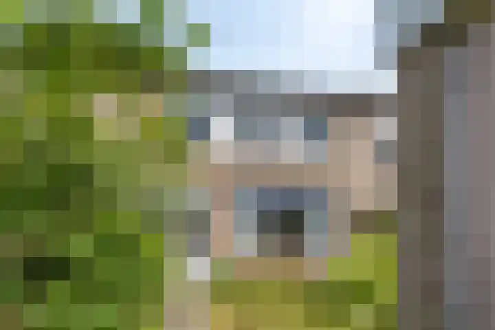 Zwaardvegersstede 45 Cuijk thumbnail 31