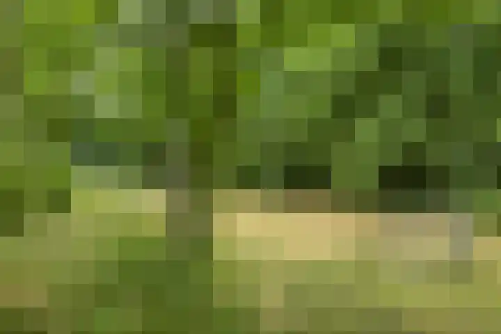 Zwaardvegersstede 45 Cuijk thumbnail 33