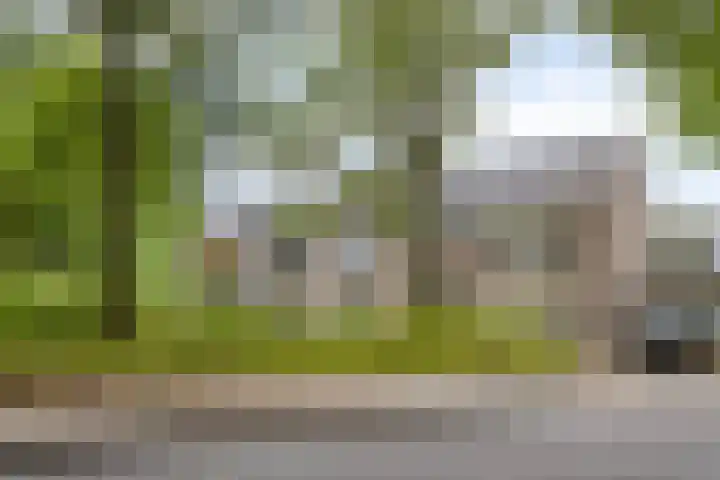 Zwaardvegersstede 45 Cuijk thumbnail 5