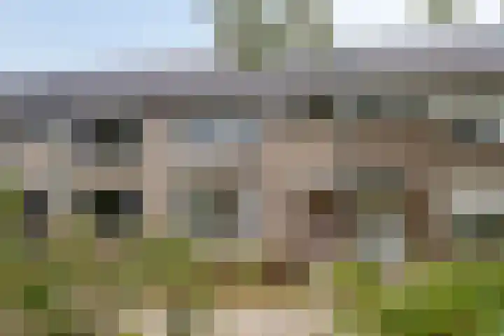 Zwaardvegersstede 45 Cuijk thumbnail 6