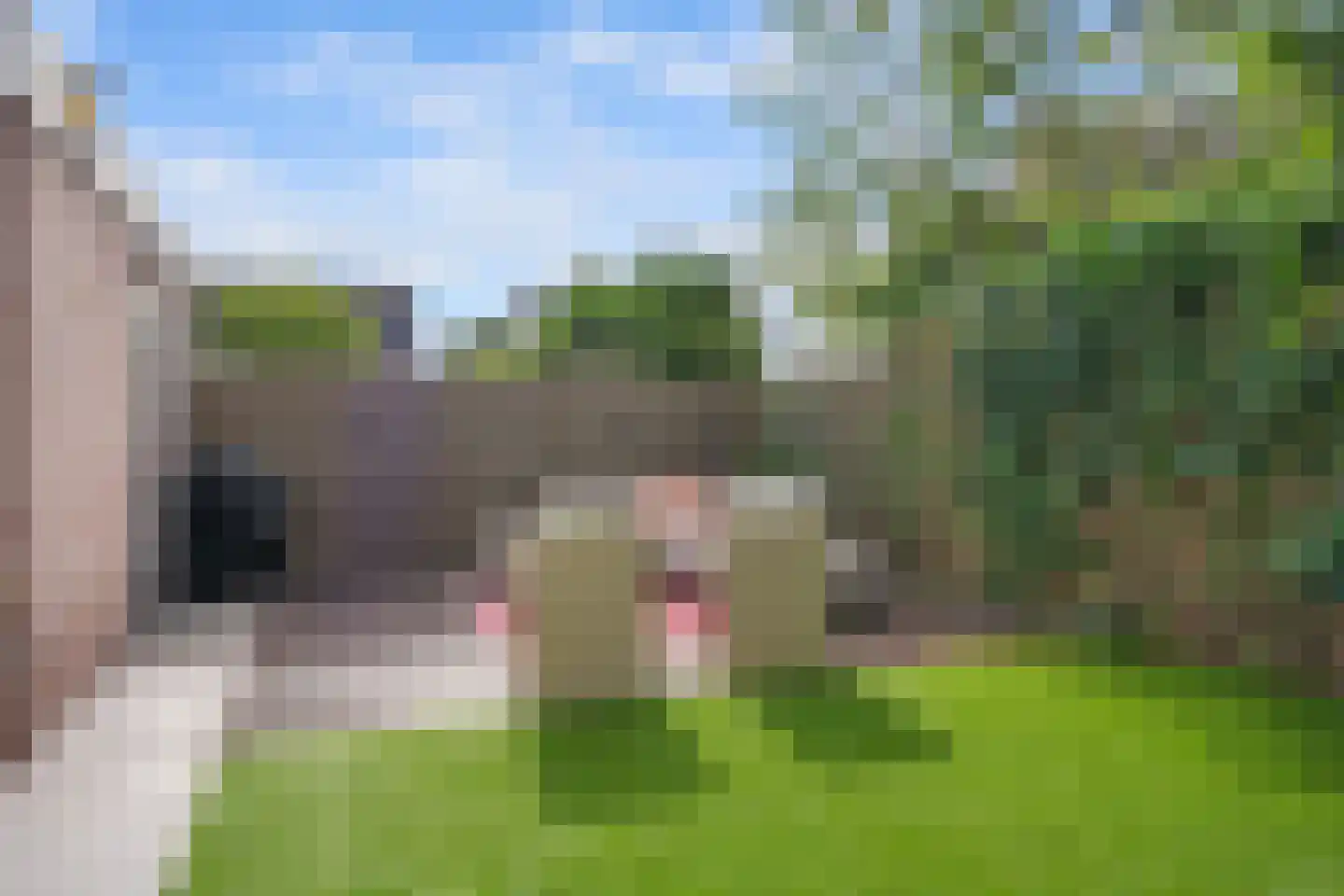 Zwaardvegersstraat 52 Veendam thumbnail 34
