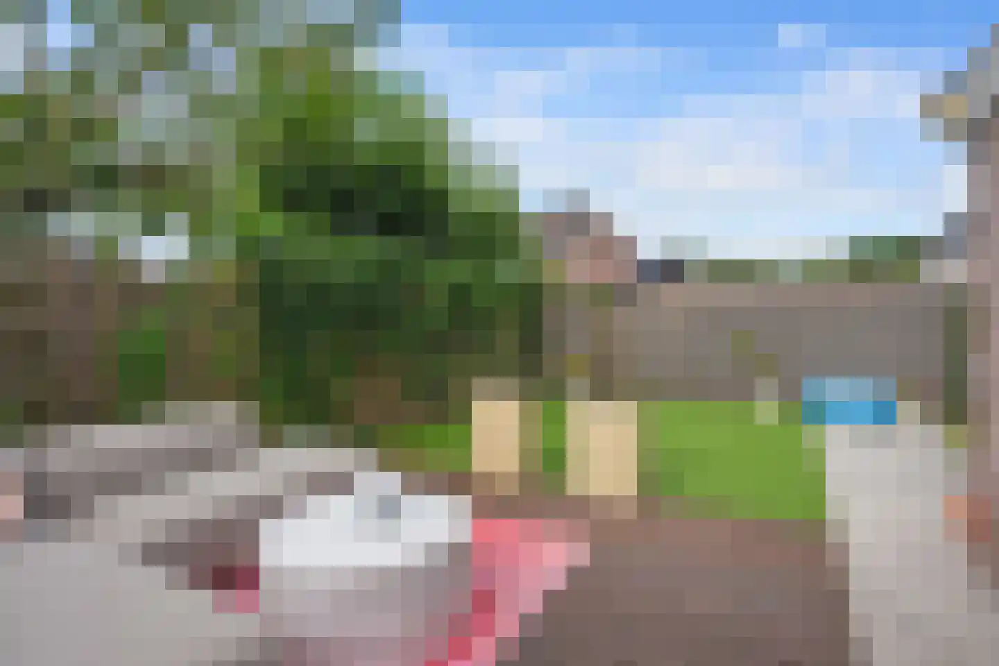 Zwaardvegersstraat 52 Veendam thumbnail 35