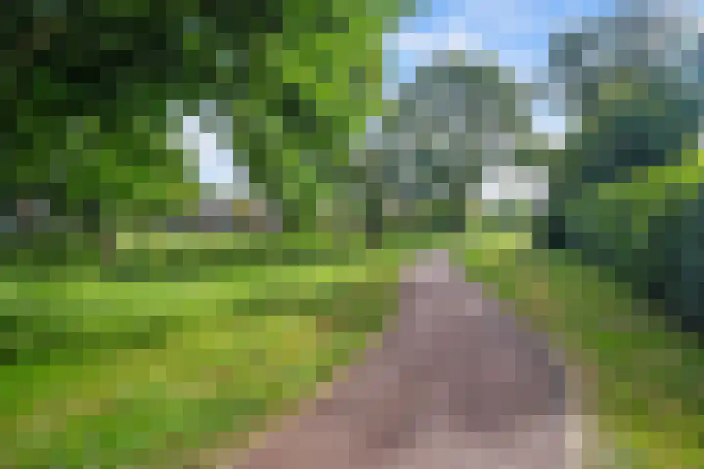 Zwaardvegersstraat 52 Veendam thumbnail 42