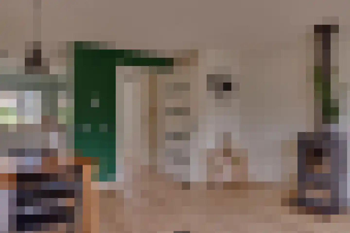 Zwaardvegerstraat 7 Zwolle thumbnail 10