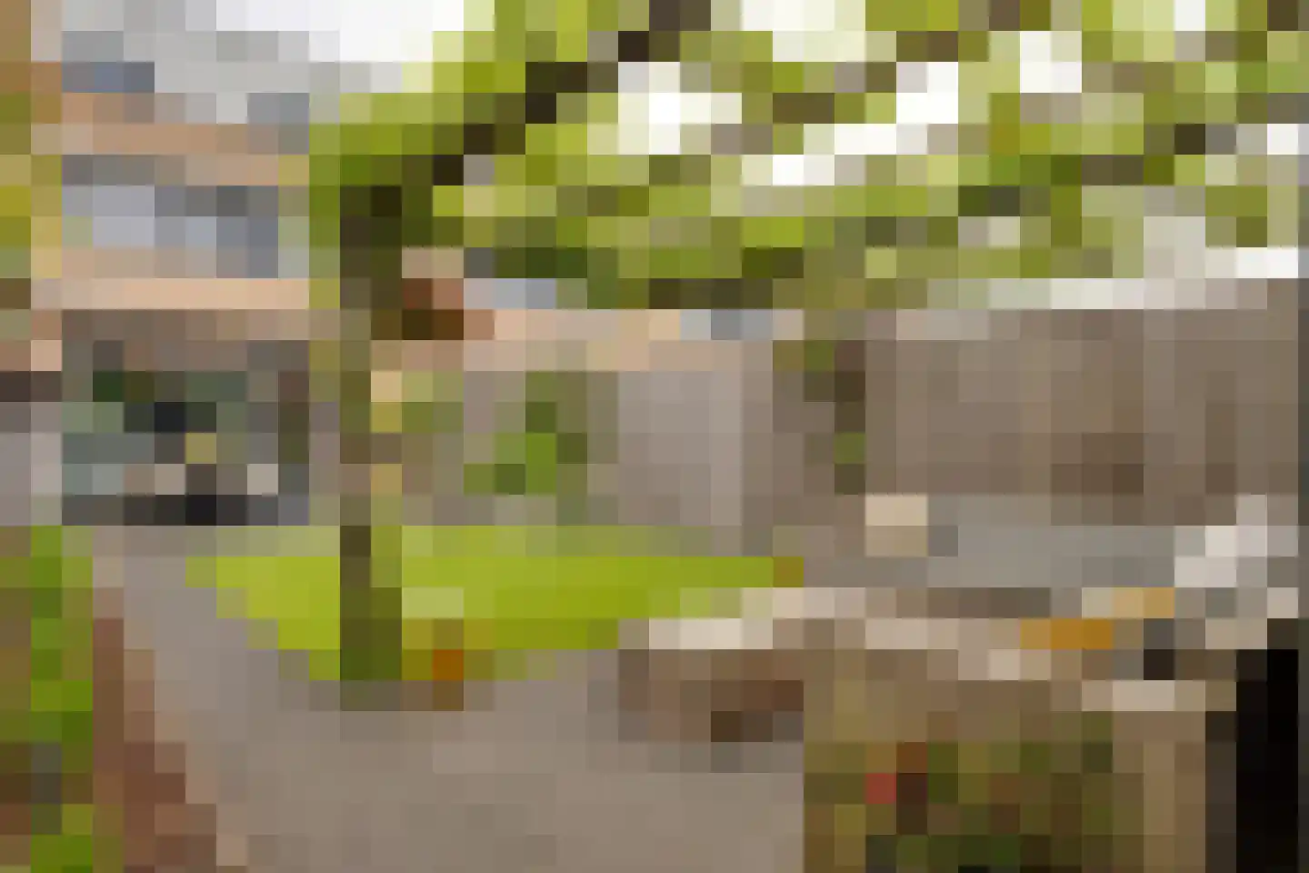Zwaardvegerstraat 7 Zwolle thumbnail 33