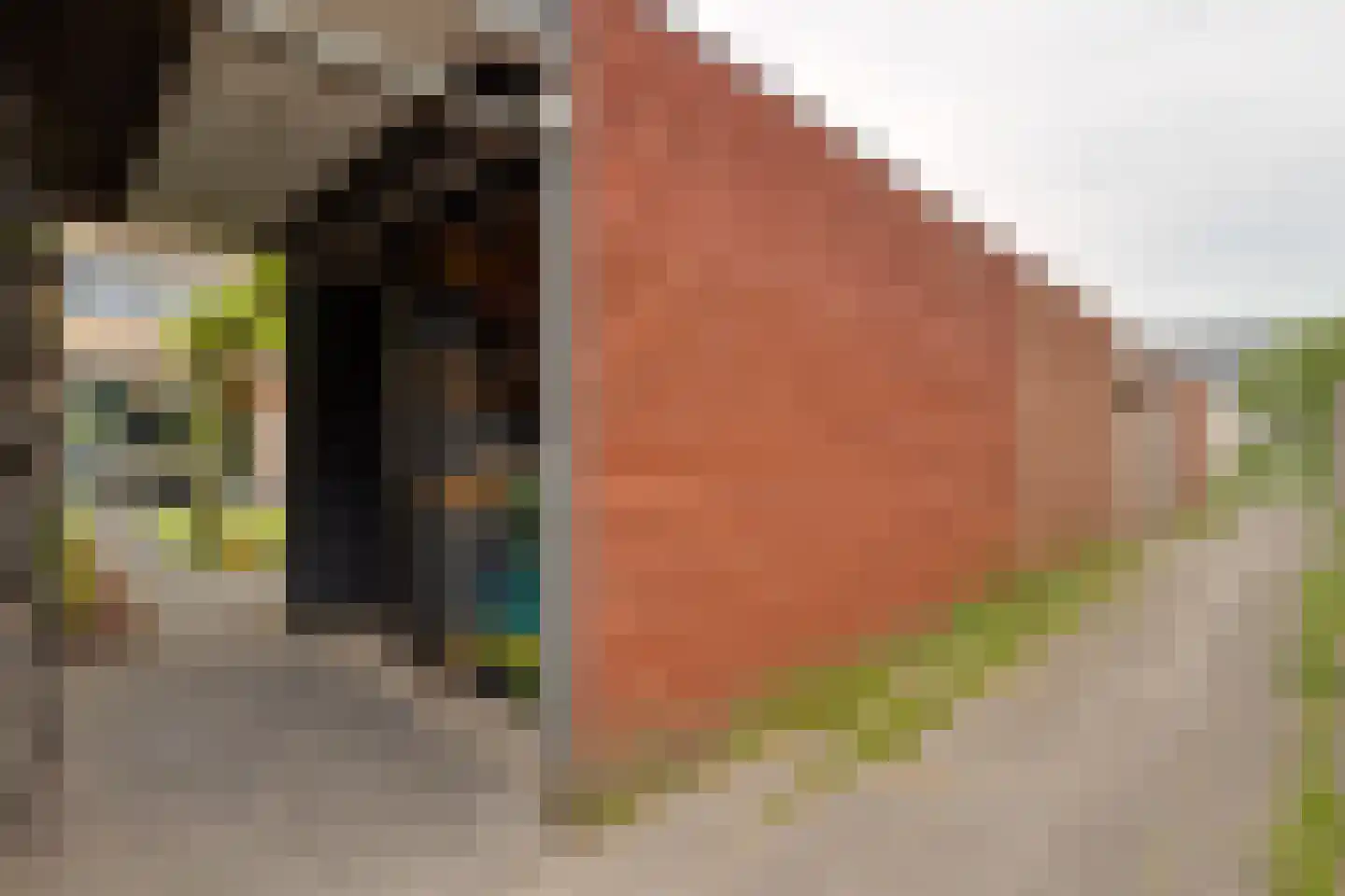 Zwaardvegerstraat 7 Zwolle thumbnail 36