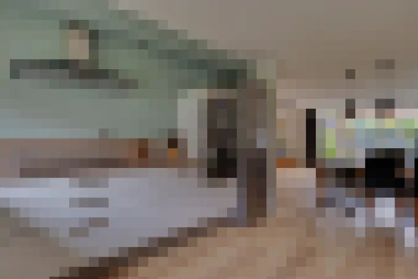 Zwaardvegerstraat 7 Zwolle thumbnail 8