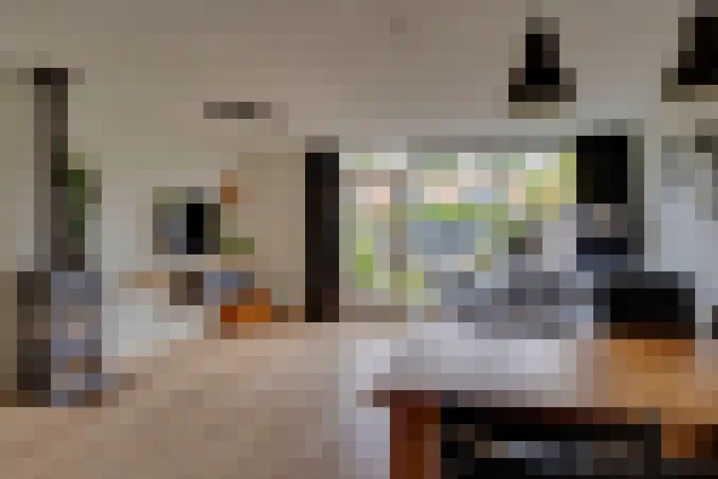 Zwaardvegerstraat 7 Zwolle thumbnail 9