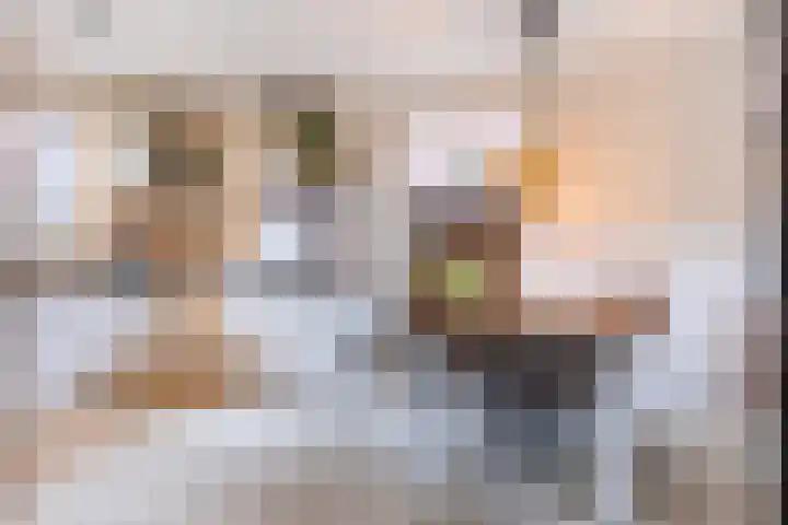 Zwaardvegersveld 13 Apeldoorn thumbnail 10