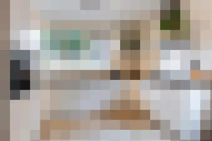 Zwaardvegersveld 13 Apeldoorn thumbnail 12
