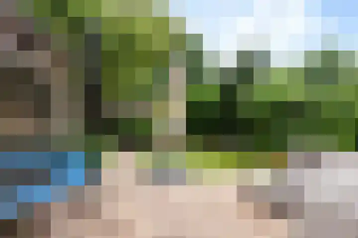 Zwaardvegersveld 13 Apeldoorn thumbnail 13