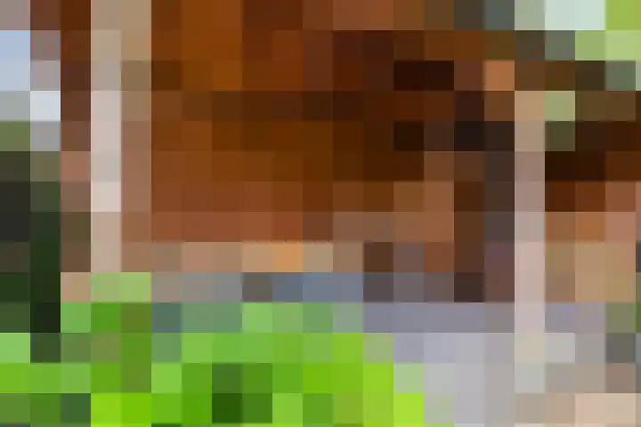 Zwaardvegersveld 13 Apeldoorn thumbnail 16