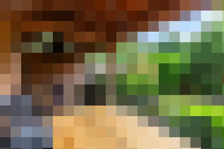 Zwaardvegersveld 13 Apeldoorn thumbnail 17