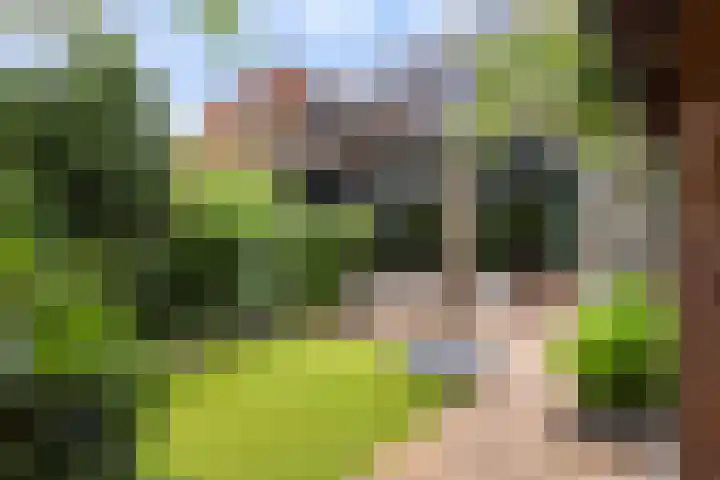 Zwaardvegersveld 13 Apeldoorn thumbnail 18
