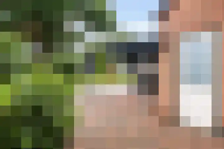 Zwaardvegersveld 13 Apeldoorn thumbnail 20