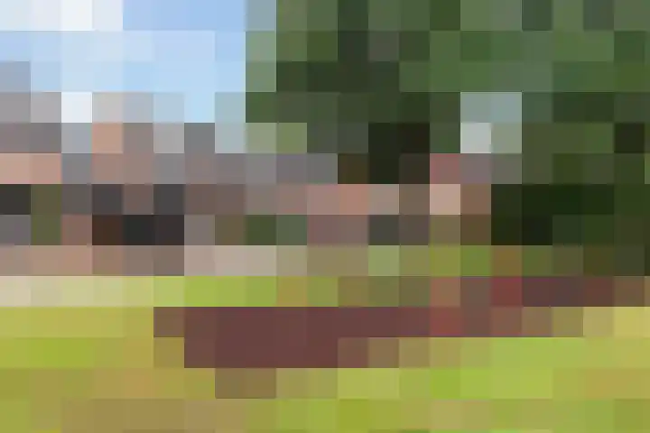 Zwaardvegersveld 13 Apeldoorn thumbnail 35