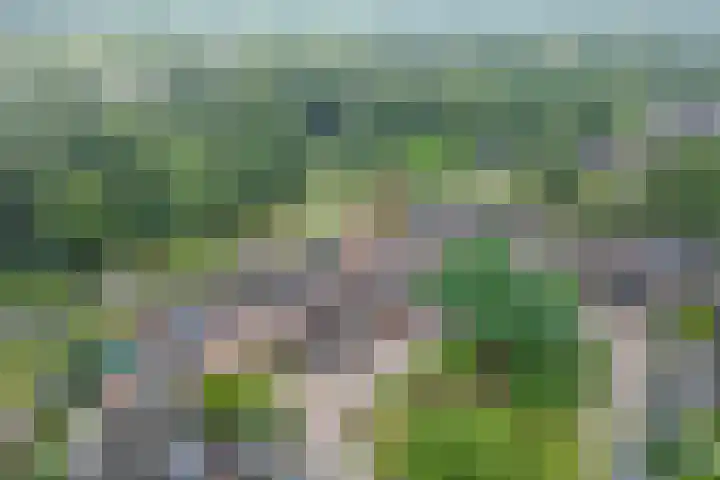 Zwaardvegersveld 13 Apeldoorn thumbnail 36