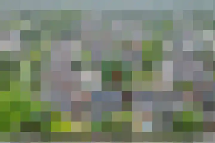 Zwaardvegersveld 13 Apeldoorn thumbnail 37
