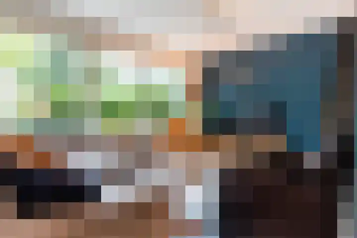 Zwaardvegersveld 13 Apeldoorn thumbnail 5