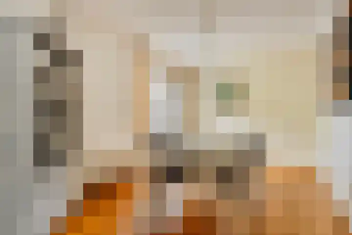 Zwaardvegersveld 16 Apeldoorn thumbnail 10