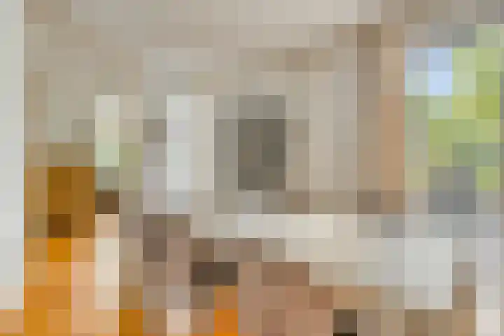 Zwaardvegersveld 16 Apeldoorn thumbnail 11