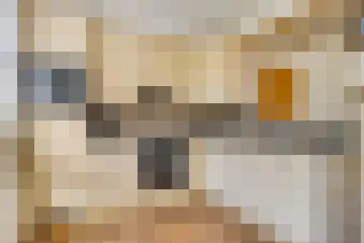 Zwaardvegersveld 16 Apeldoorn thumbnail 13