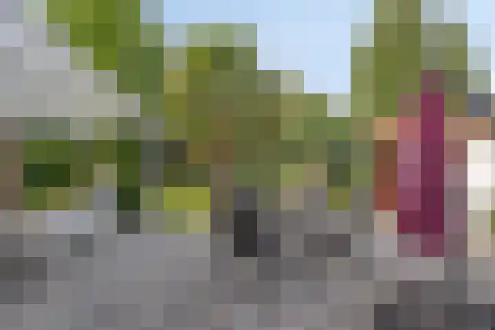Zwaardvegersveld 16 Apeldoorn thumbnail 15