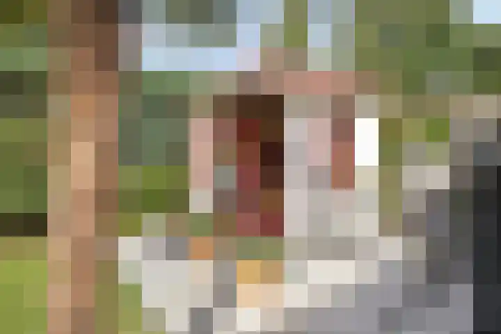 Zwaardvegersveld 16 Apeldoorn thumbnail 16