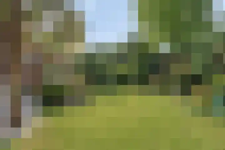 Zwaardvegersveld 16 Apeldoorn thumbnail 17