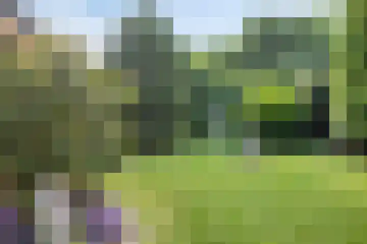 Zwaardvegersveld 16 Apeldoorn thumbnail 18