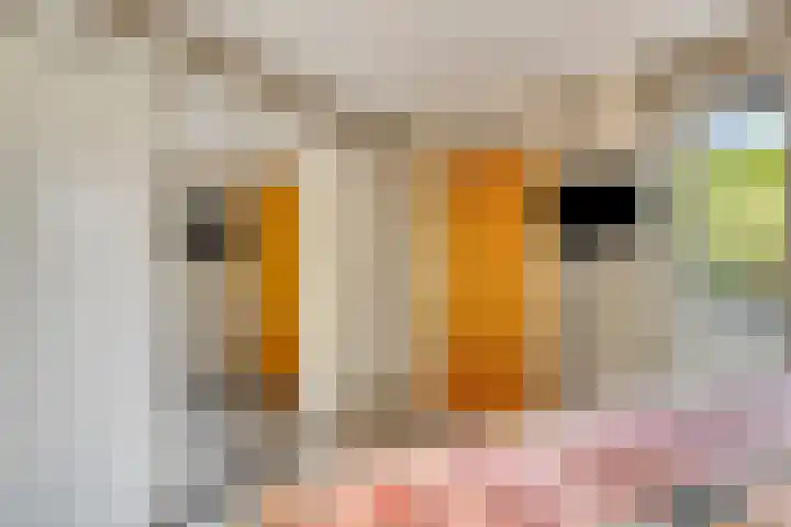Zwaardvegersveld 16 Apeldoorn thumbnail 21