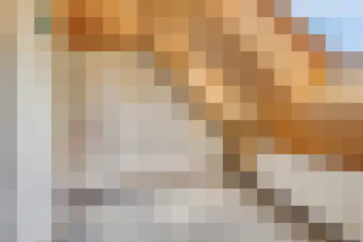 Zwaardvegersveld 16 Apeldoorn thumbnail 26