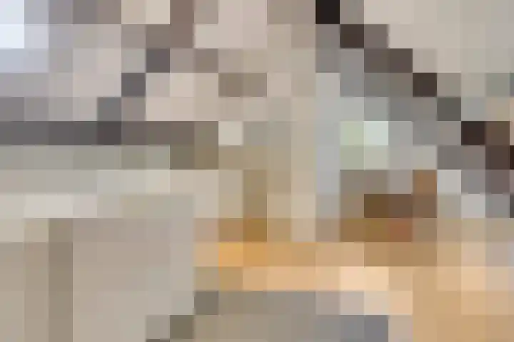 Zwaardvegersveld 16 Apeldoorn thumbnail 30
