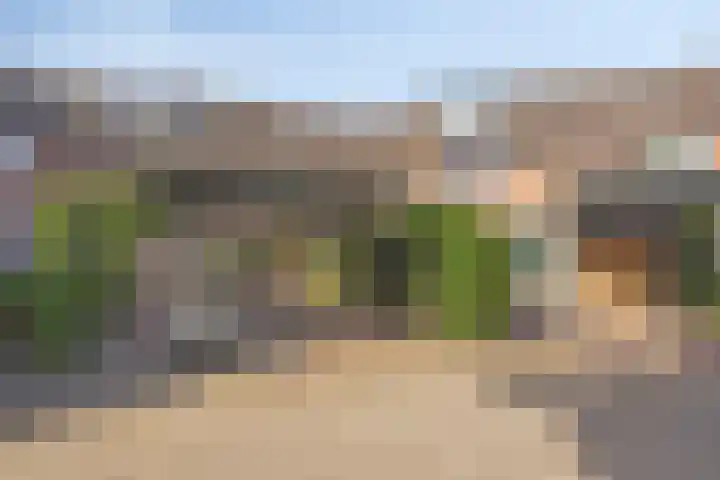 Zwaardvegersveld 16 Apeldoorn thumbnail 31