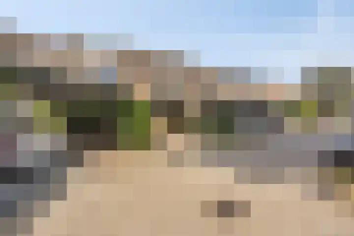 Zwaardvegersveld 16 Apeldoorn thumbnail 32