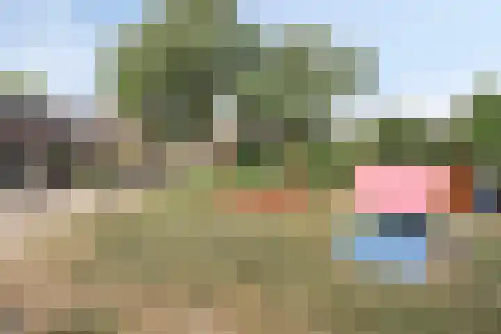 Zwaardvegersveld 16 Apeldoorn thumbnail 33