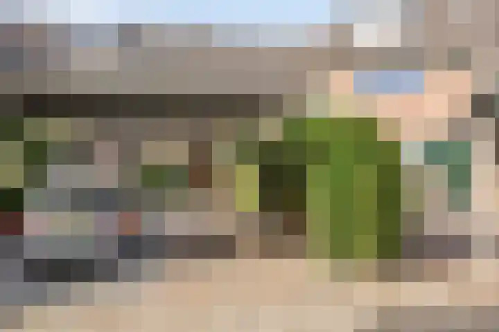 Zwaardvegersveld 16 Apeldoorn thumbnail 46