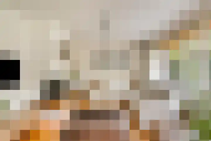 Zwaardvegersveld 16 Apeldoorn thumbnail 6