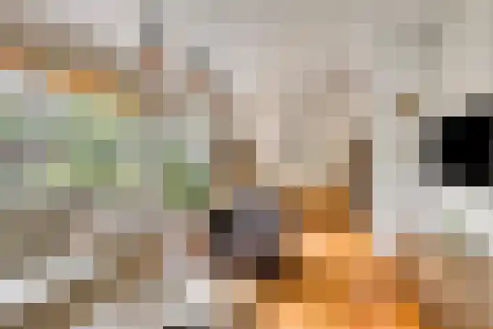 Zwaardvegersveld 16 Apeldoorn thumbnail 7