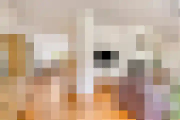 Zwaardvegersveld 16 Apeldoorn thumbnail 8