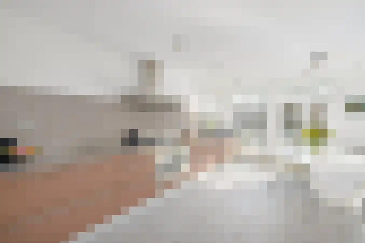 Zwaenenstede 39 's-Hertogenbosch thumbnail 18