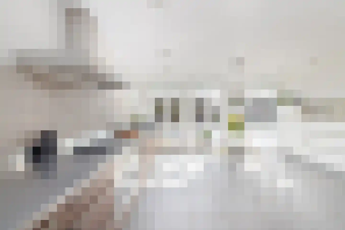 Zwaenenstede 39 's-Hertogenbosch thumbnail 19