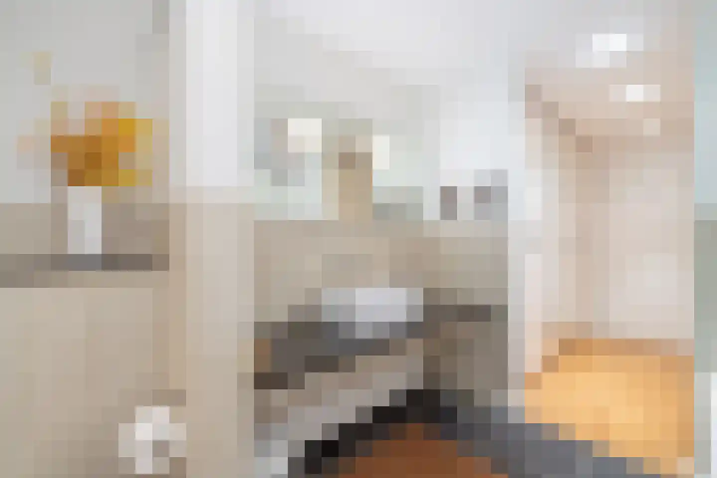 Zwaenenstede 39 's-Hertogenbosch thumbnail 36