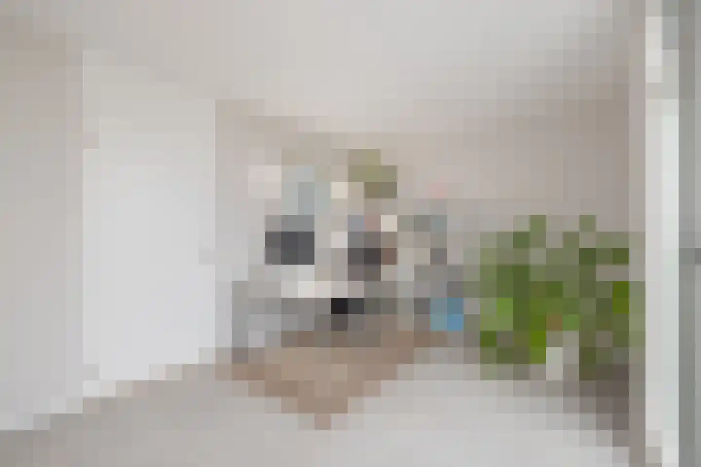 Zwaenenstede 39 's-Hertogenbosch thumbnail 49