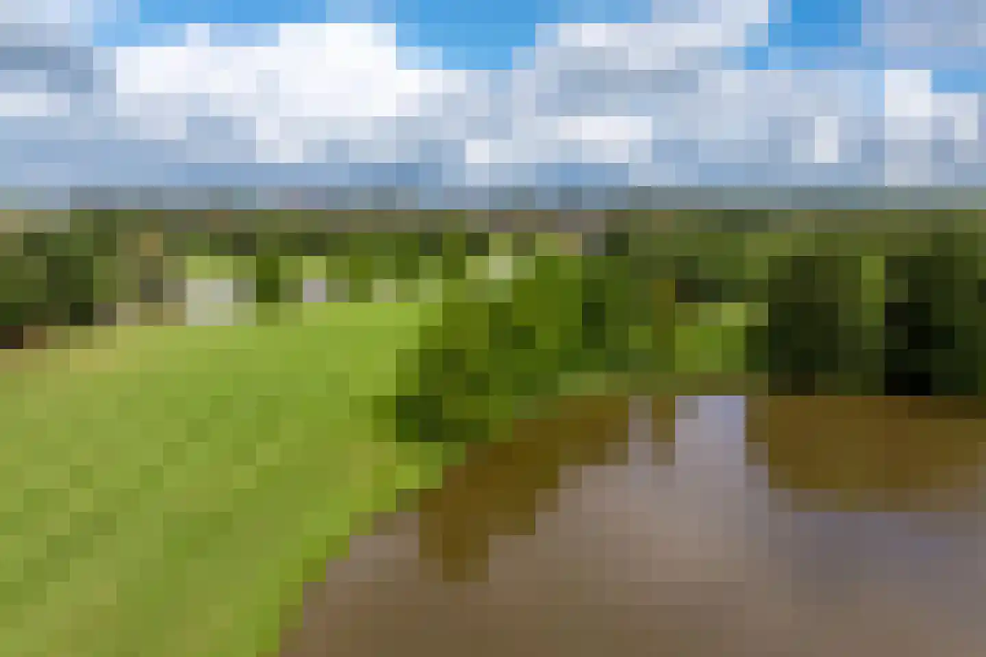 Zwaenenstede 39 's-Hertogenbosch thumbnail 57