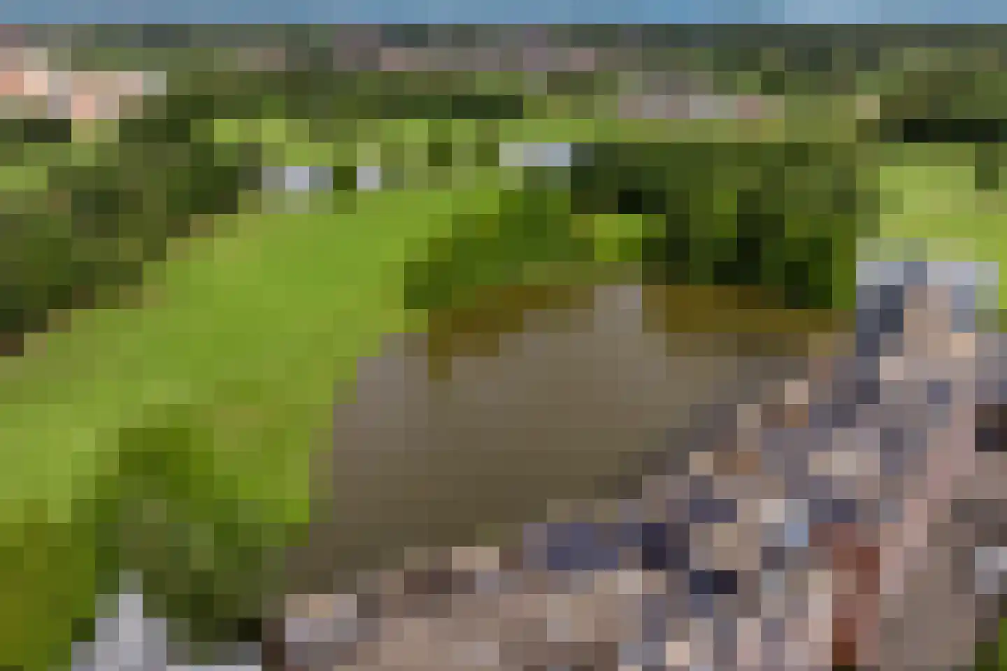 Zwaenenstede 39 's-Hertogenbosch thumbnail 58