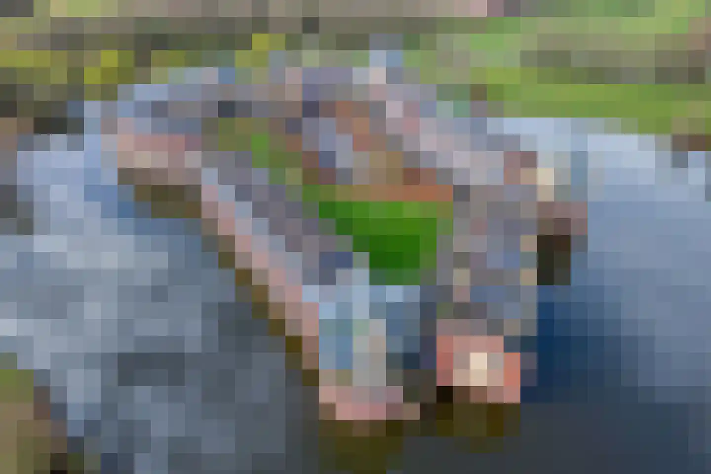 Zwaenenstede 39 's-Hertogenbosch thumbnail 59