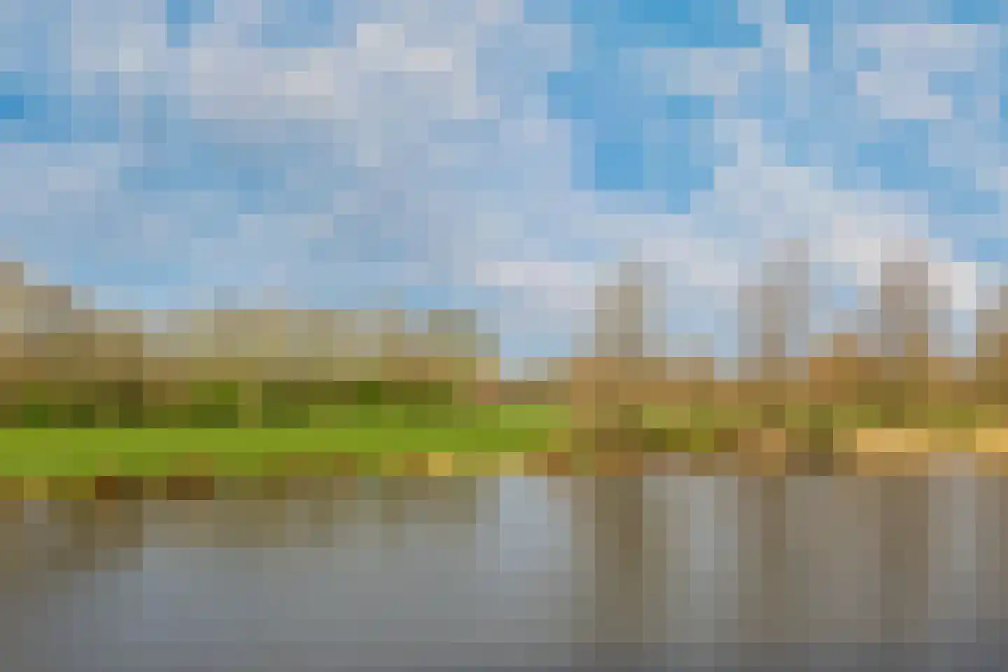 Zwaenenstede 39 's-Hertogenbosch thumbnail 64